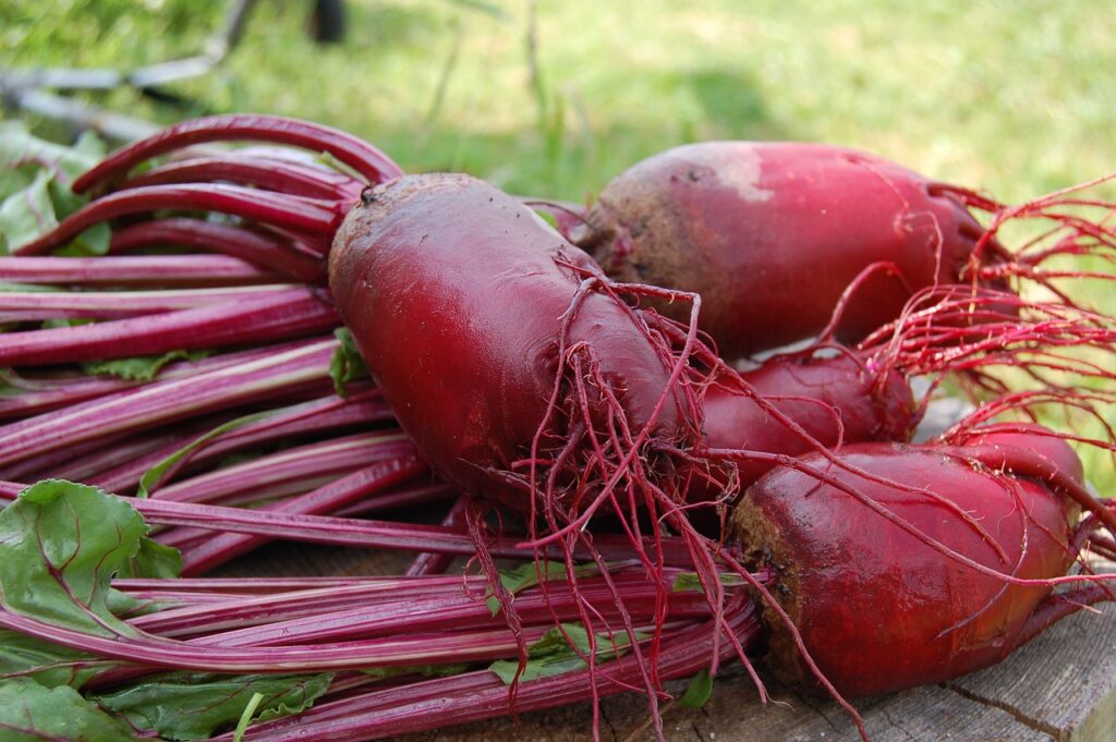 Juicebeets to prevent varicose veins